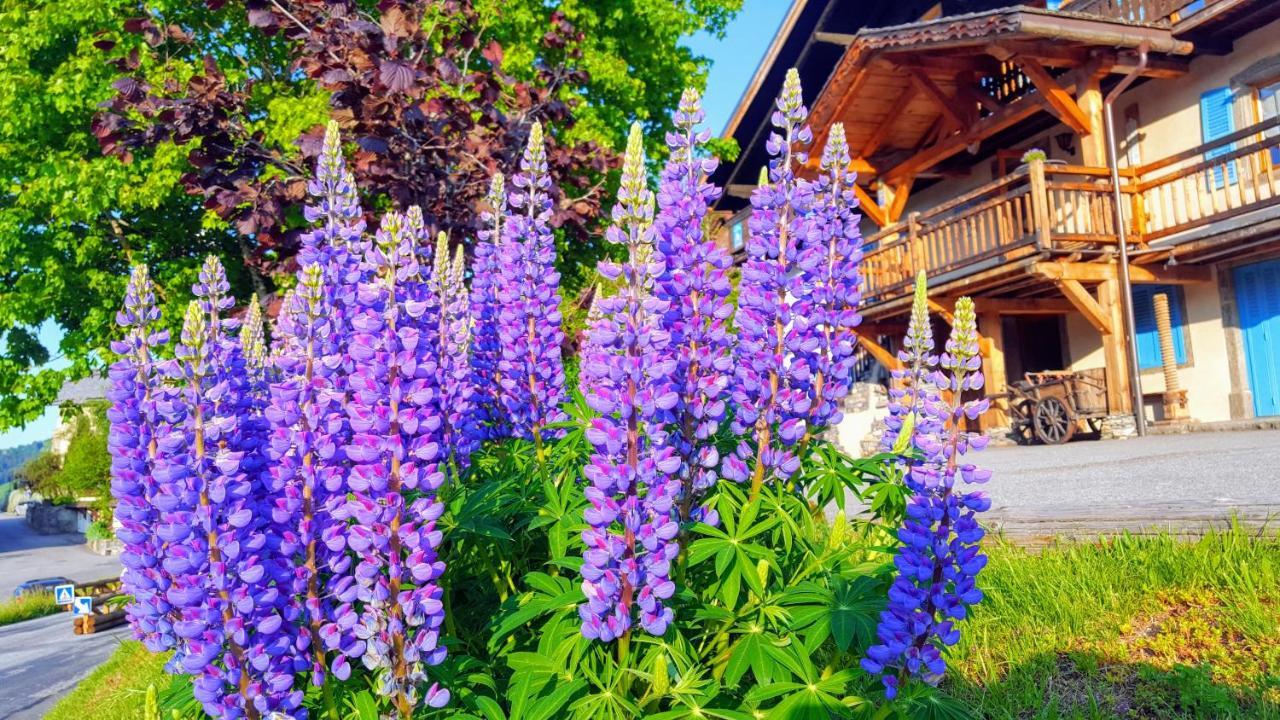 Chalet La Source Saint-Nicolas-la-Chapelle (Savoie) Exterior foto